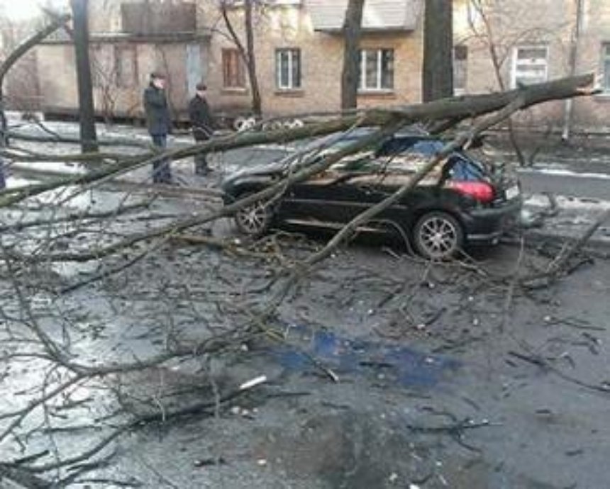Киевлян напугал шквальный ветер: в городе ломались крыши и падали деревья