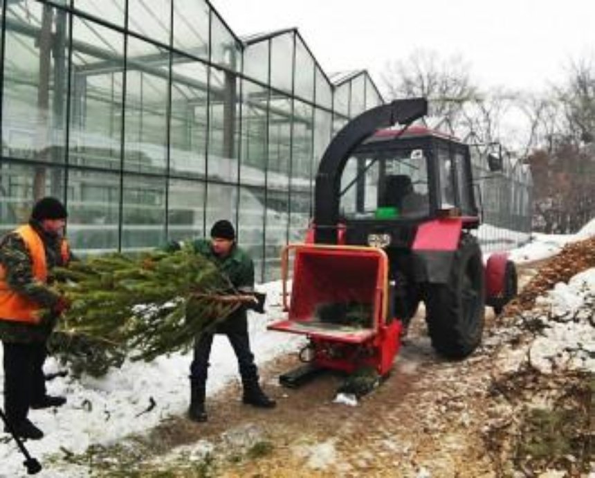 Куда уходят елки: в Киеве выброшенные новогодние деревья превращают в декор