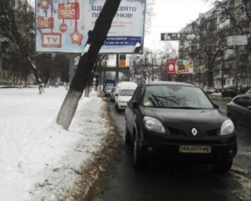 В Киеве "герои парковки" устроили групповой перформанс (фото)