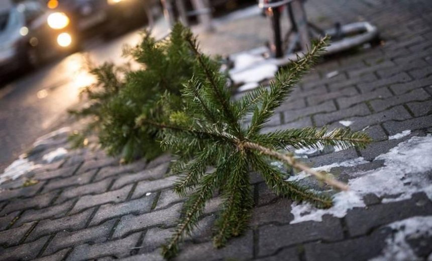 Елка, на выход: киевлянам предлагают "экологический" способ утилизации новогодних деревьев