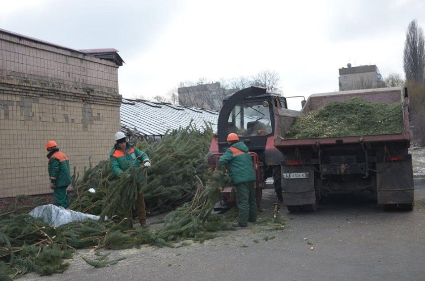Новогодние елки можно сдать на переработку до 1 февраля