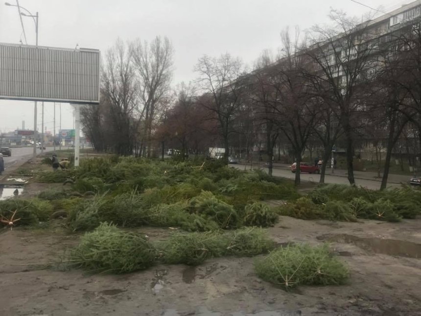 Киевлян возмутило «кладбище» молодых елок на Окружной (фото)