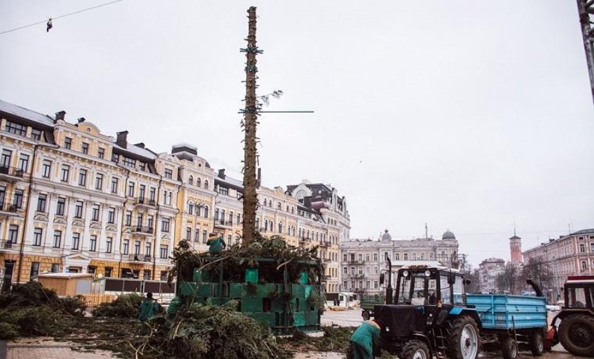 На Софийской площади распилили главную елку страны (фото, видео)