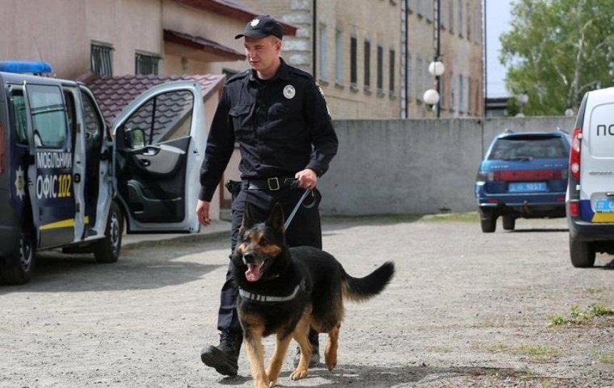 Полицейская собака помогла найти грабителей (фото)