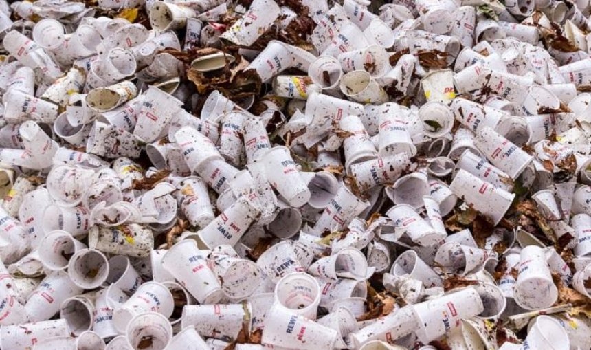 Чебуреки и стаканчики: что киевляне выкидывают в контейнеры для опасных отходов