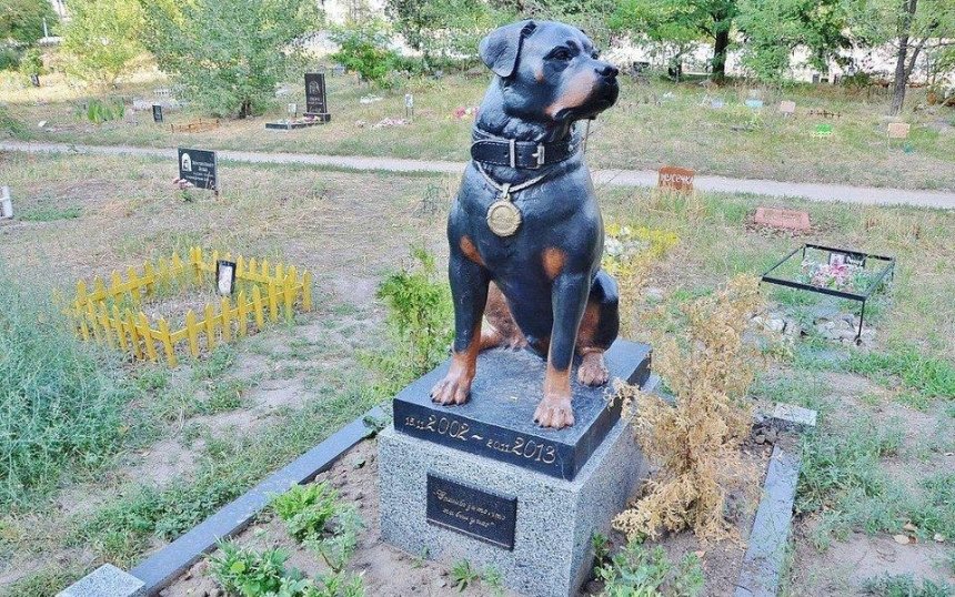 У Києві побудують кладовище домашніх тварин