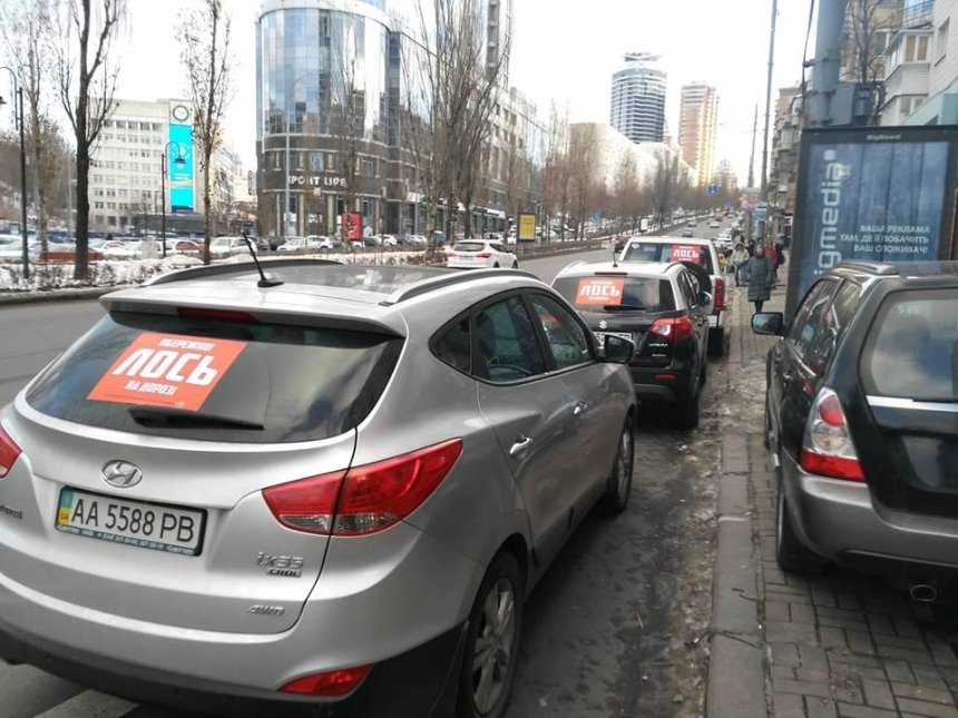 «Осторожно! Лось»: столичных водителей наказали за неправильную парковку (фото)
