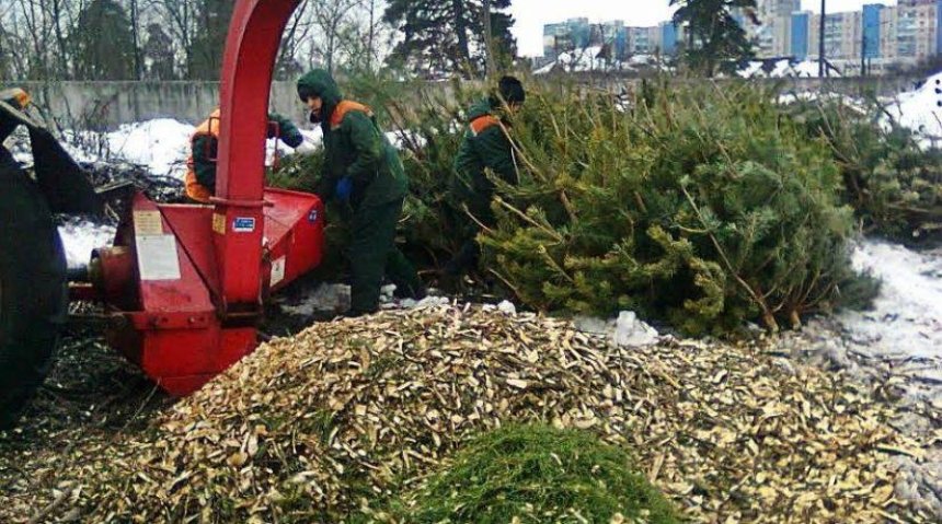 В Киеве заработали пункты переработки елок (адреса)