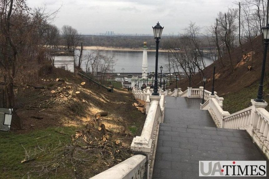 В центре Киева коммунальщики массово вырубили деревья
