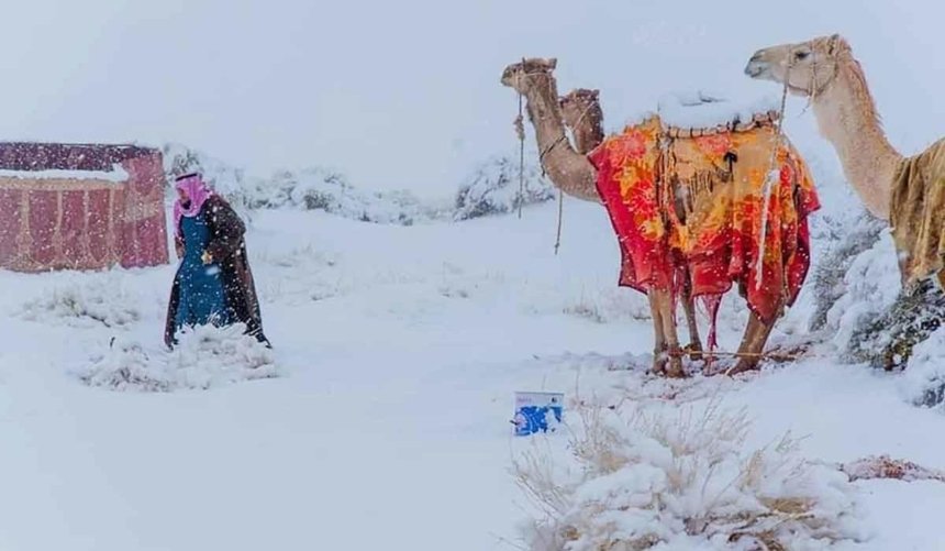 Песчаные дюны и лед: в пустыне Сахара выпал снег