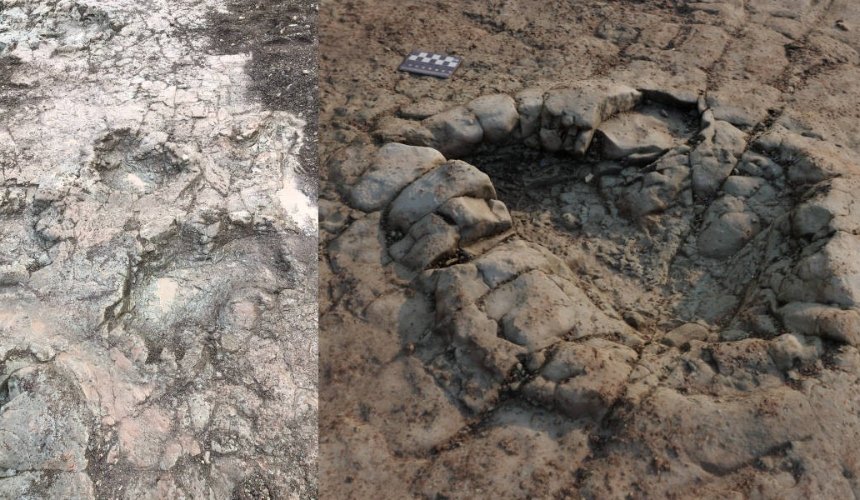 В Уэльсе нашли следы динозавров, которым может быть более 200 млн лет