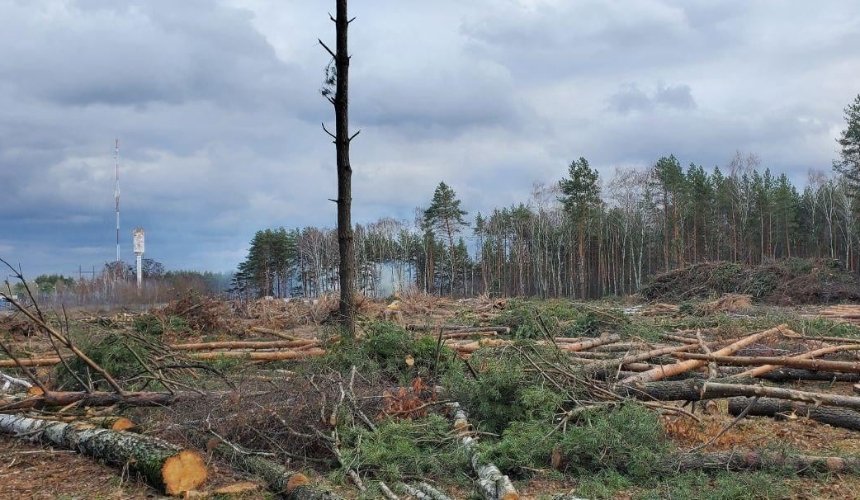 Для строительства терминала «Новой почты» под Киевом незаконно рубили лес