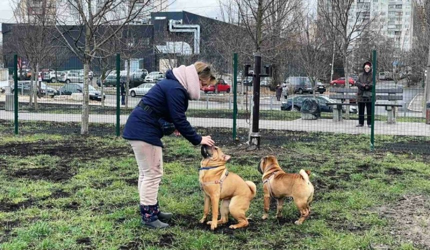 В 2021 году в Киеве появилось 9 новых площадок для выгула собак: адреса