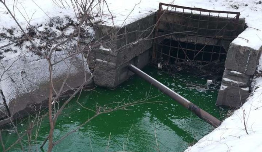 Река Сырец позеленела: в чем может быть причина