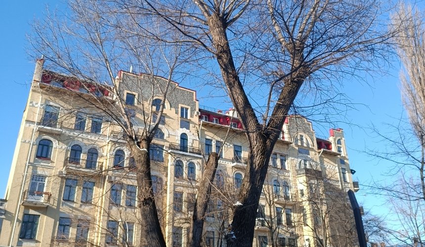 У Сквері київських інтелігентів хотіли зрубати шість старих дерев