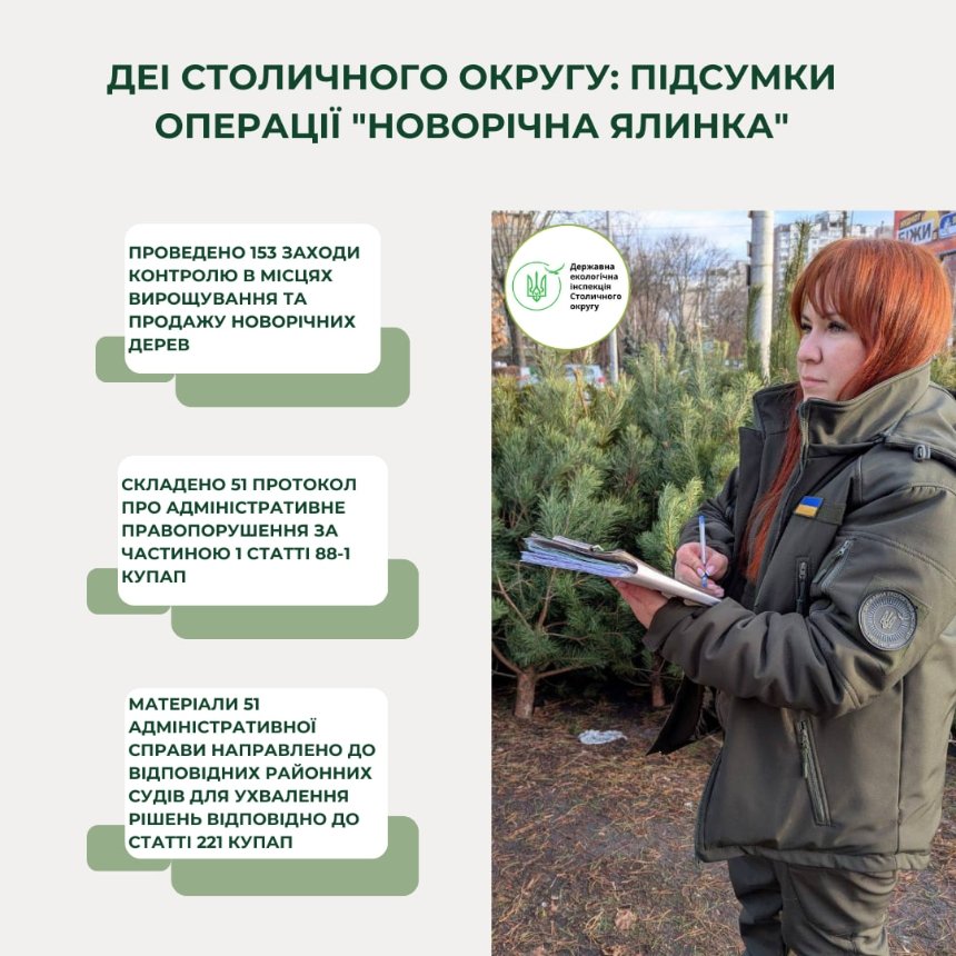 Скільки протоколів склали у Києві за незаконний продаж ялинок: деталі