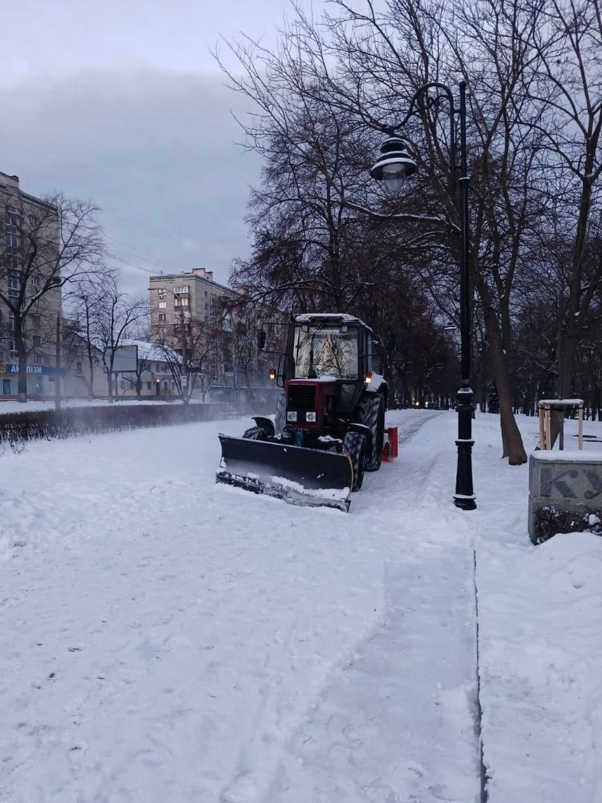 Фото: Київзеленбуд