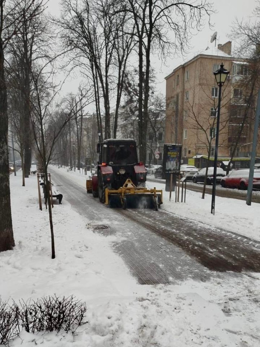 Фото: Київзеленбуд