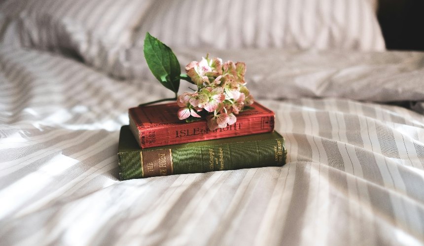 Що читати у 2026 році: рекомендації "Книжкової країни"