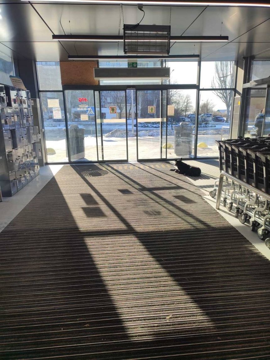 АТБ запускає масштабний проєкт із захисту тварин