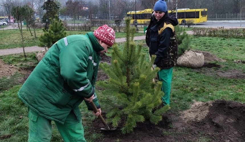 Зелена столиця: скільки за рік у Києві висадили квітів та дерев