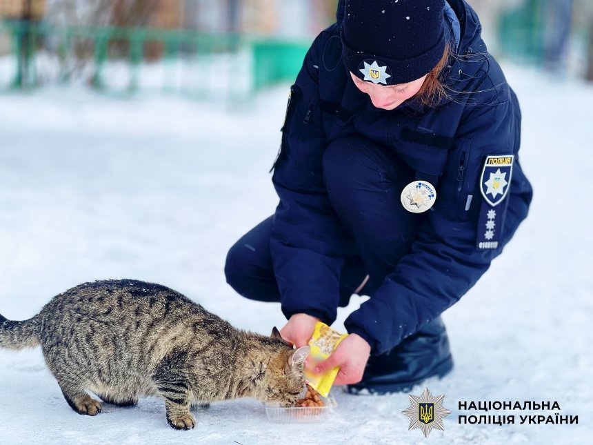 Поліцейські Київщини підгодовують безпритульних тварин