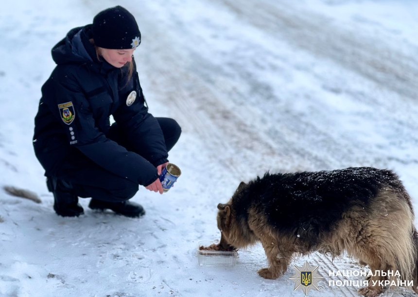 Поліцейські Київщини підгодовують безпритульних тварин