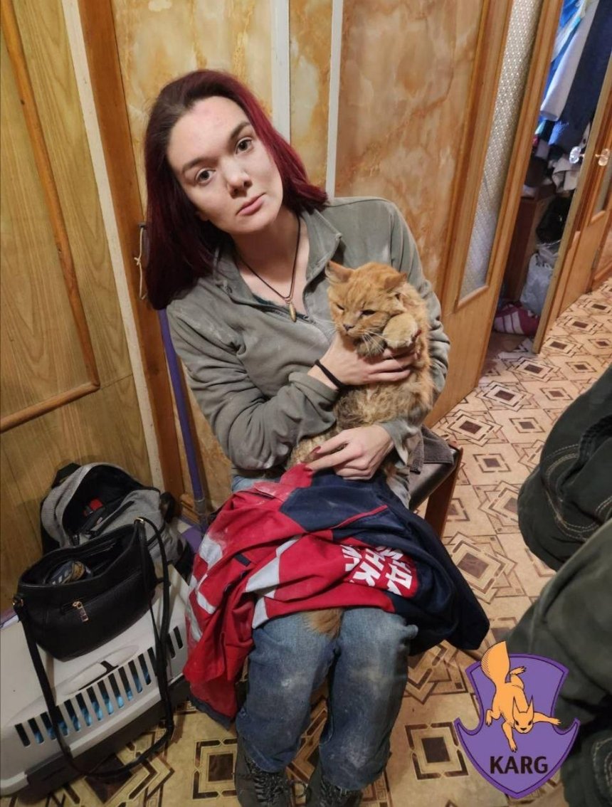 У Києві врятували кота, який застряг у вентиляції багатоповерхівки