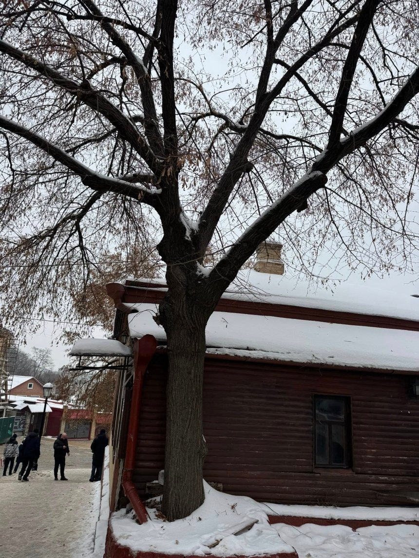 Фото: Департамент охорони культурної спадщини КМДА