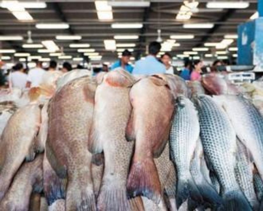 На Киевском море появится рыбная биржа