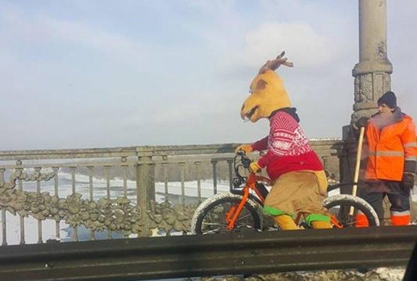 Такое не приснится: по мосту Патона ездил олень на велосипеде (видео, фото)