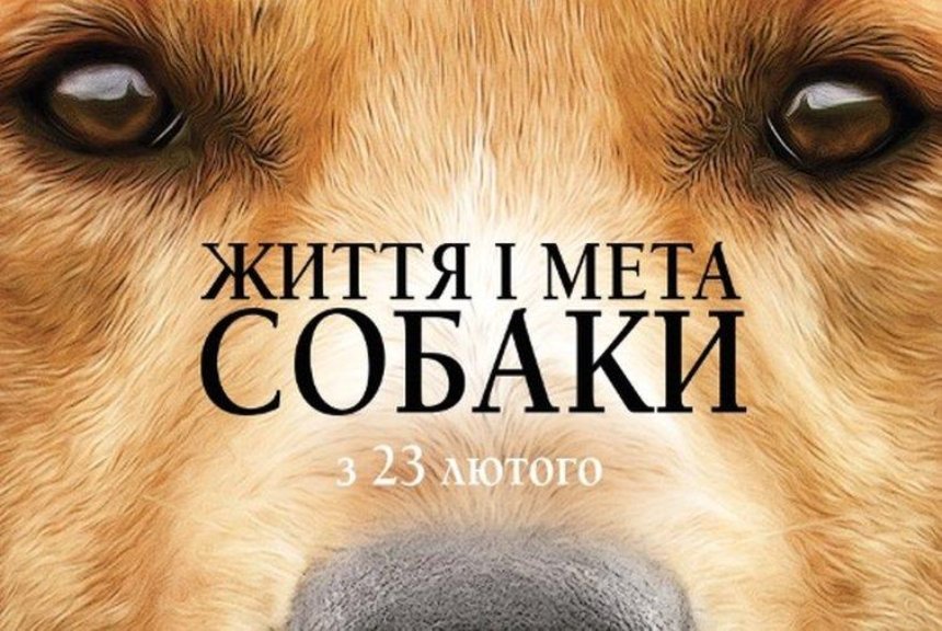 "Жизнь и цель собаки": украинцам покажут трогательный фильм о друзьях человека (видео)