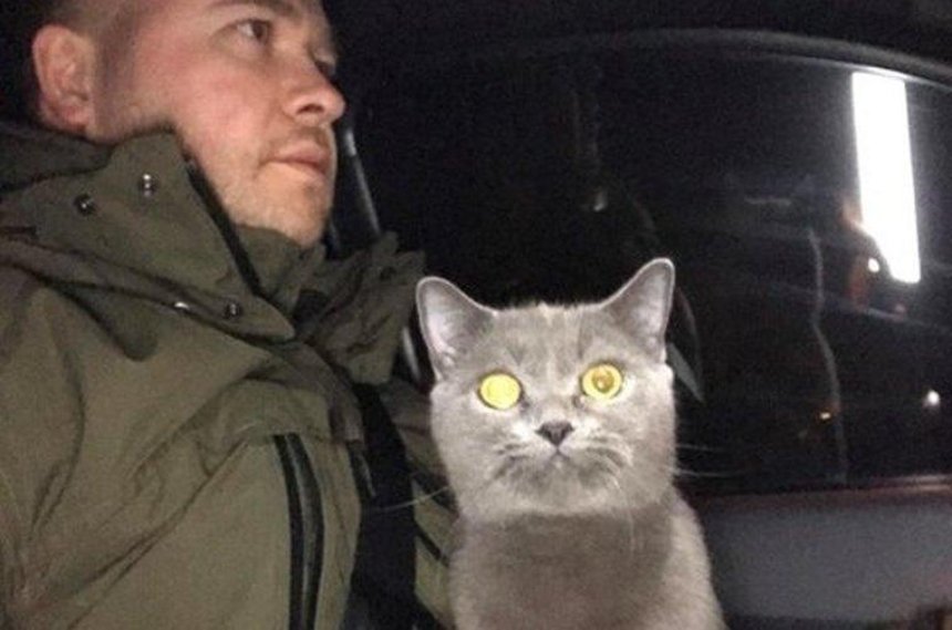 Агент Кэтмен: в рыбоохранный патруль взяли на службу кошку (фото, видео)