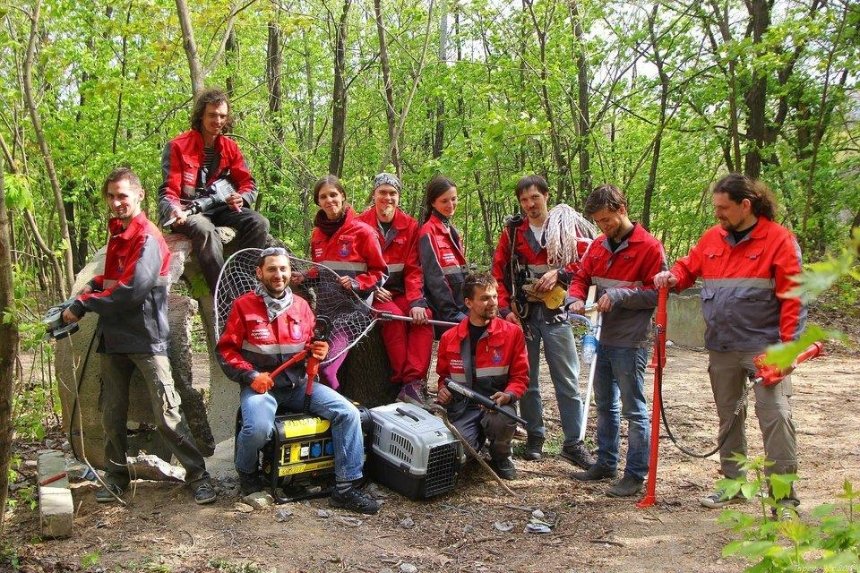 Київська команда порятунку тварин шукає співробітників