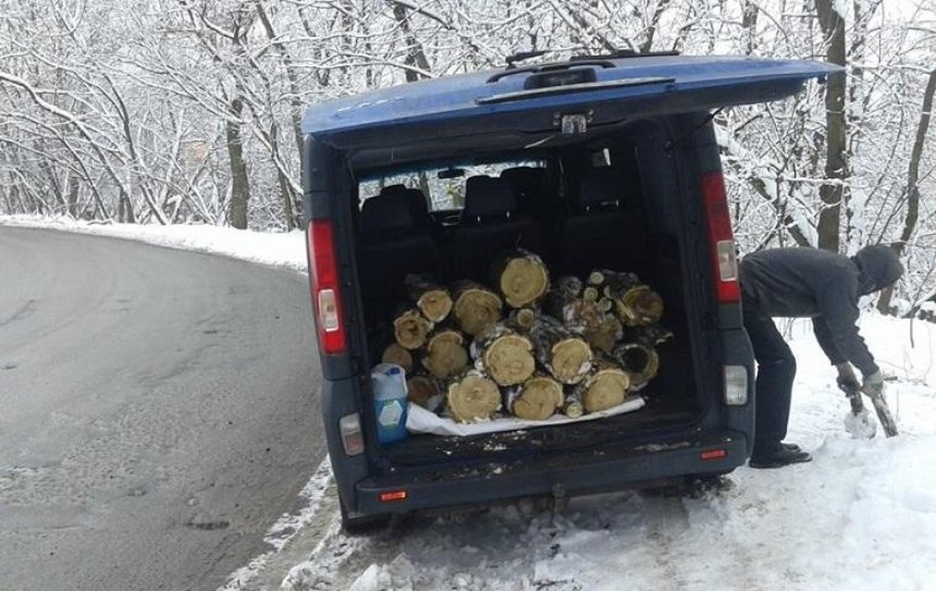 Киевлянка сообщила о том, что неизвестные в «Сырецком Гае» пилят деревья (фото)