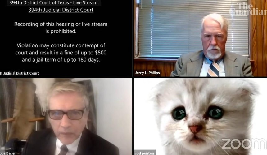 Из-за фильтра в Zoom американский адвокат подключился к заседанию суда в обличье котика