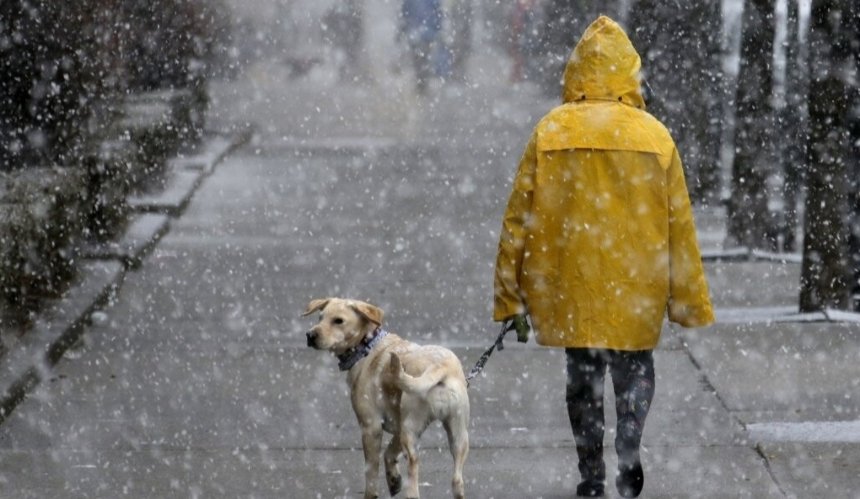Мокрий сніг та дощ: погода в Києві на 3 лютого