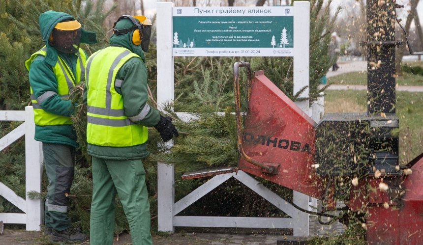 Скільки новорічних дерев здали кияни на екологічну утилізацію