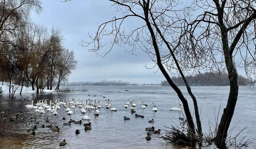 Хмарно та майже без опадів: якою буде погода в Києві на вихідних 17-18 лютого