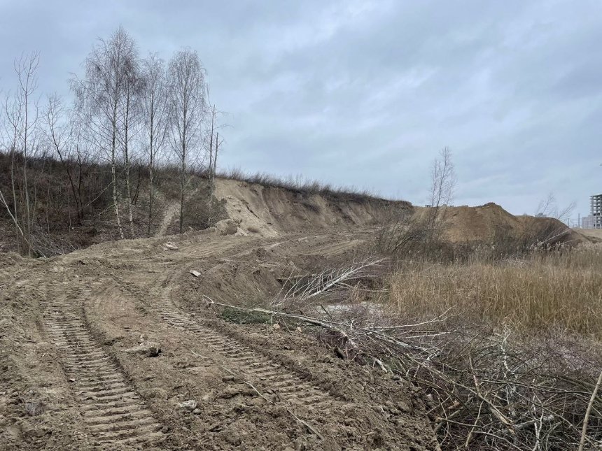 У Дарницькому районі вирубали дерева: екоінспектори оцінили збитки довкіллю