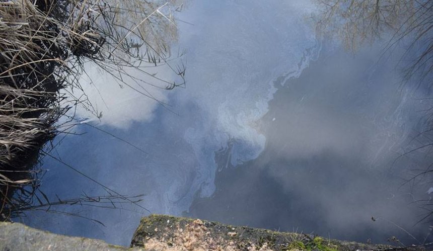 Забруднення Кирилівського озера нафтопродуктами: правоохоронці відкрили кримінальне провадження