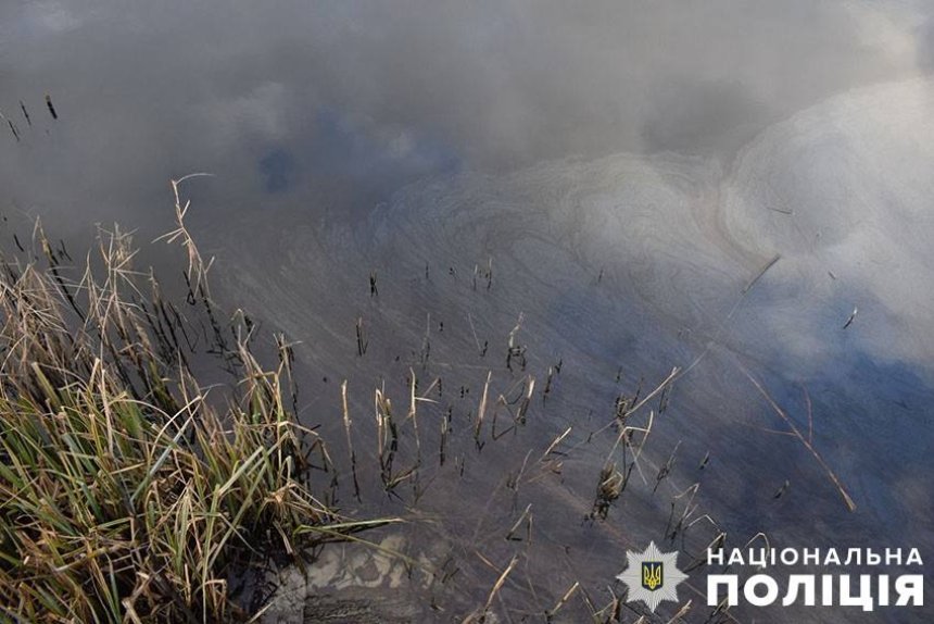 Правоохоронці проводять першочергові слідчі дії за фактом забруднення Кирилівського озера на Оболоні