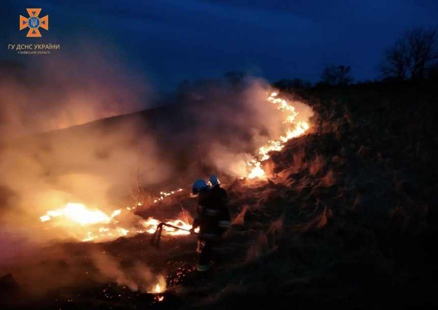 Рятувальники понад 10 разів виїжджали на пожежі в екосистемах Київщини