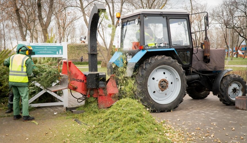 Скільки новорічних дерев принесли на утилізацію у Києві в 2025 році: подробиці