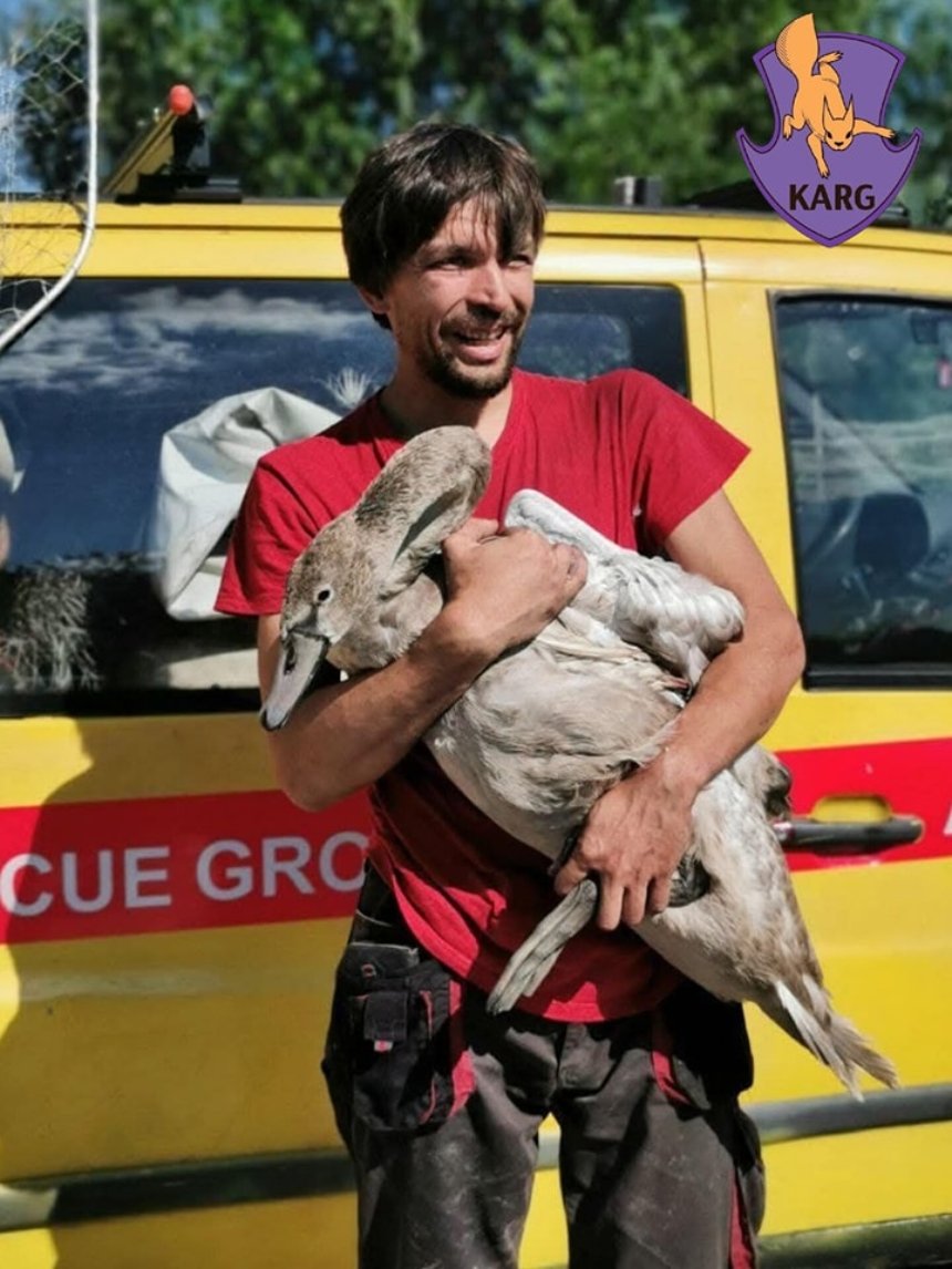 Фото: Kyiv Animal Rescue Group