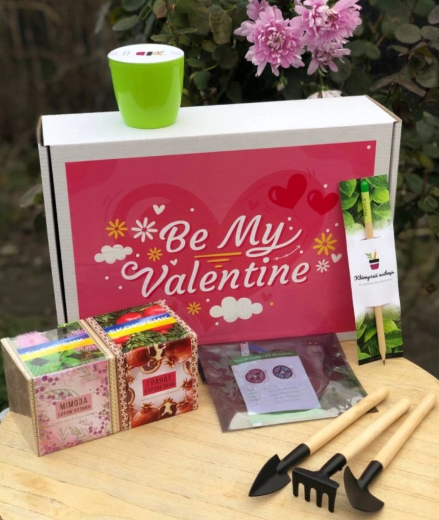 Набір для вирощування екзотичної рослини (Бонсай або Чилі)