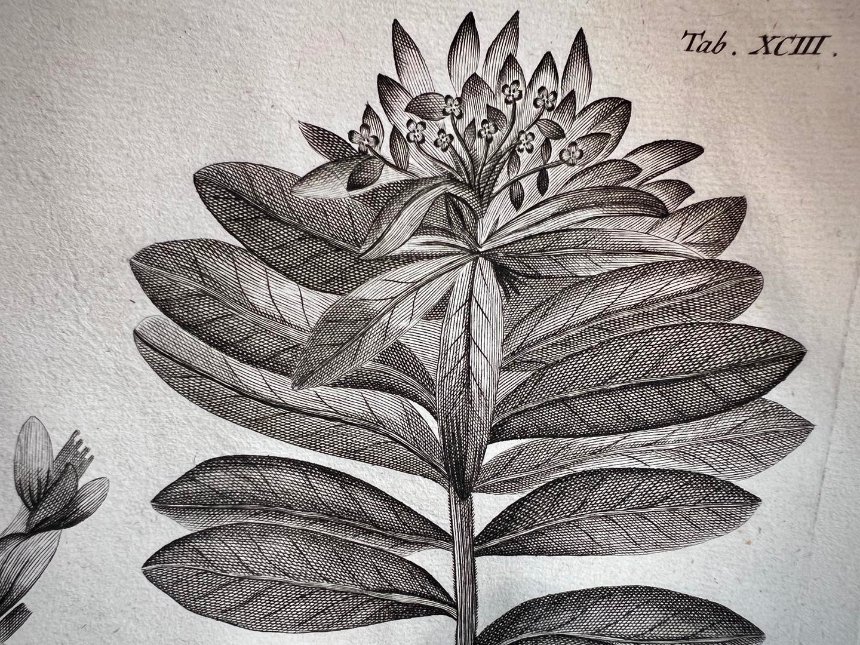 Київські митники передали до найстарішої бібліотеки рідкісну книгу XVIII століття