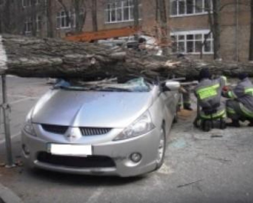 На Печерске непогода повредила автомобиль и деревья