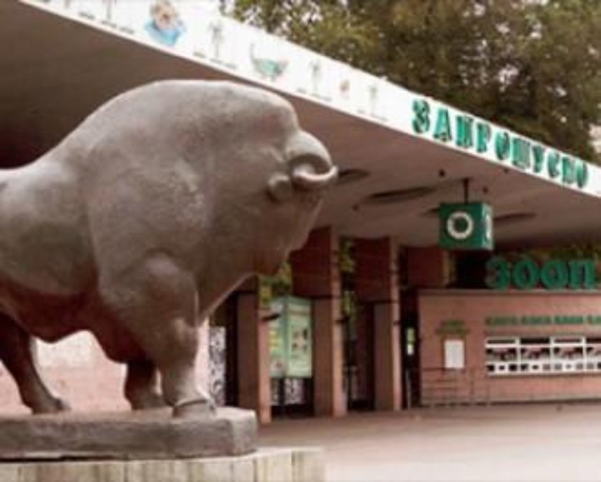 В Киевском зоопарке в прошлом году украли более 7 миллионов гривен