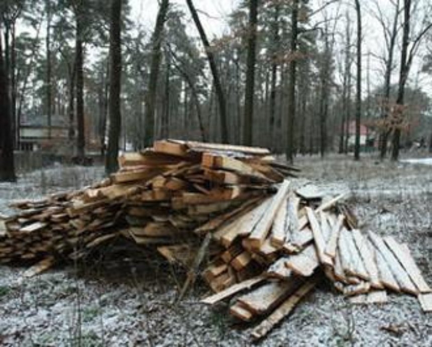 Лес под Киевом за 245 млн грн забрали у семьи экс-нардепа и вернули государству